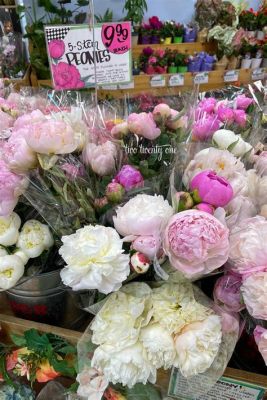 How Much Are Flowers at Trader Joe's: A Blooming Discussion on Value, Variety, and Vibes