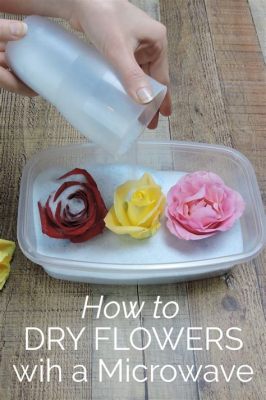 How to Dry Flowers with Silica Gel: A Journey into Preservation and Beyond