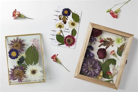 How to Keep Dried Flowers: A Guide to Preserving Nature's Beauty and the Art of Letting Go