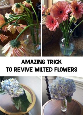 How to Revive Wilted Flowers: A Symphony of Life and Chaos