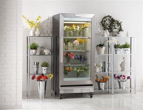 Should I Keep Flowers in the Fridge, or Should I Just Let Them Dream of Warmer Days?