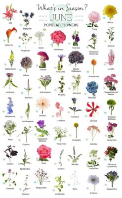 What Flowers Are in Season in June: A Symphony of Colors and Scents