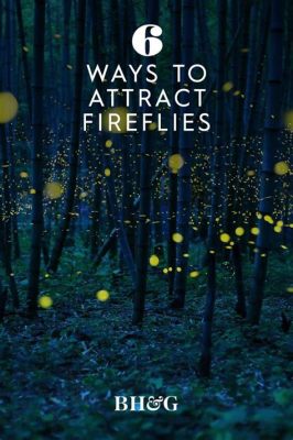 What Flowers Attract Fireflies: A Journey into the Luminous Garden