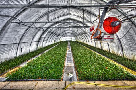 What is Commercial Gardening? Exploring the Green Goldmine