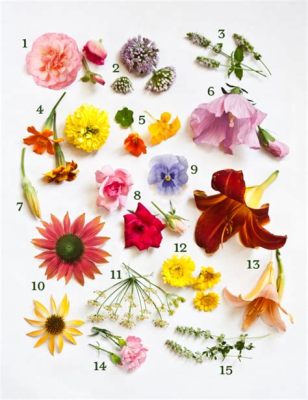 Where to Find Edible Flowers: A Journey Through Gardens, Markets, and Beyond